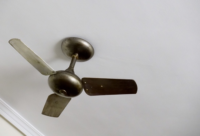 MIL ANUNCIOS.COM Ventilador de techo. Electrodomésticos Ventilador de techo con luz y mando de segunda mano por 55