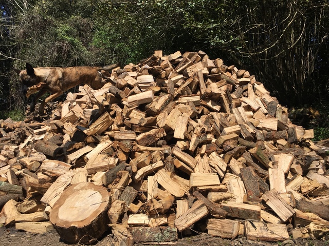 MIL ANUNCIOS.COM - Leña de roble o mixta