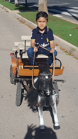 caballos de bateria para niños