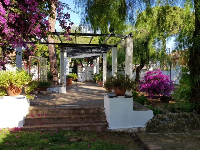 MIL ANUNCIOS.COM - Urb. Pinos de Oromana Pinzapo en Alcala de Guadaira