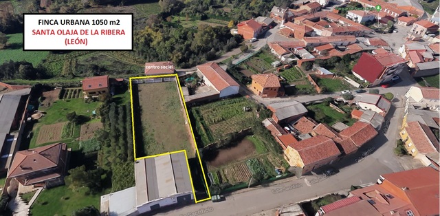 Mil Anuncios Com Finca Urbaba En Santa Olaja De La Ribera Calle Sacrificio 20 En Santa Olaja De La Ribera