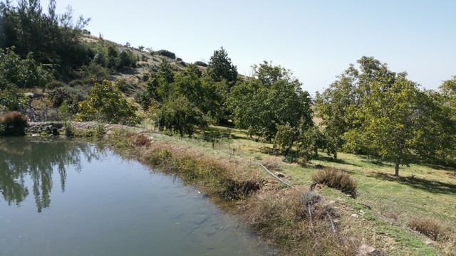 MIL ANUNCIOS.COM - Sierra de Nigüelas en Niguelas