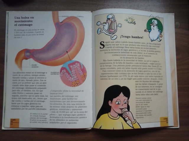 Erase Una Vez El Cuerpo Humano La Digestion