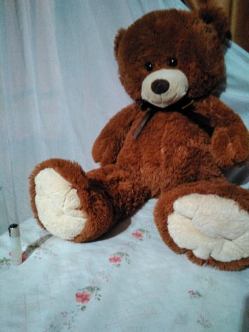 oso peluche marron