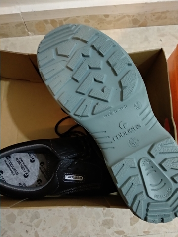 zapatos de trabajo robusta