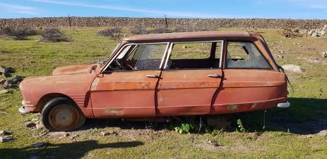 Citroen 8 мест