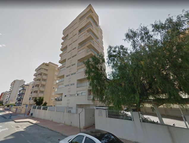 MIL ANUNCIOS.COM - Guardamar Centro Puerto y Edén en Guardamar del Segura