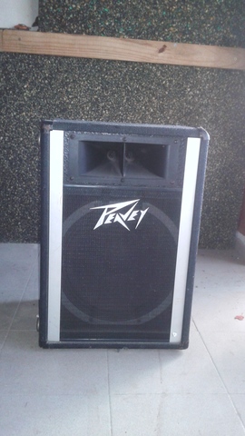peavey 115h