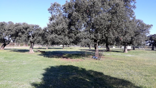 Resultado de imagen de el monte del casar