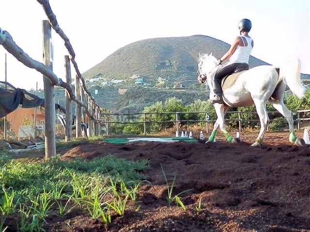 MIL Casa de campo con finca Telde en Telde