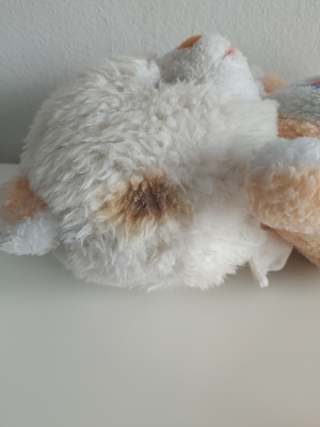 oso angeloso peluche