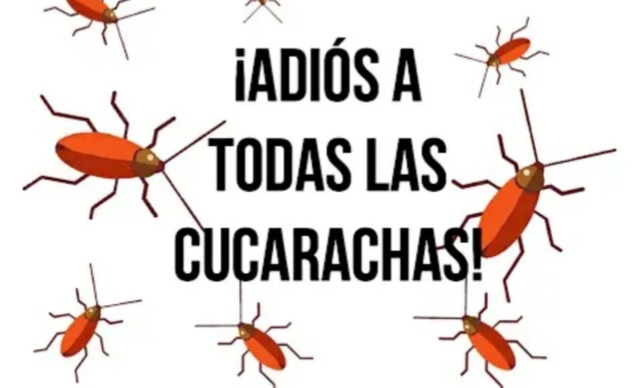 Mil Anuncios Com 2anos Sin Cucaracha 100 Garantizado