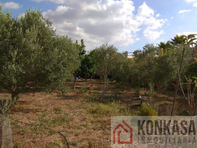 MIL ANUNCIOS.COM - Arcos de la frontera venta del pavo en Arcos de la