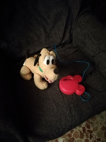 perro teledirigido