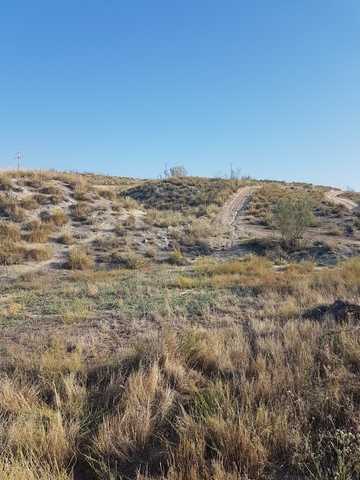 MIL ANUNCIOS.COM - Finca rustica en chinchon en Chinchon