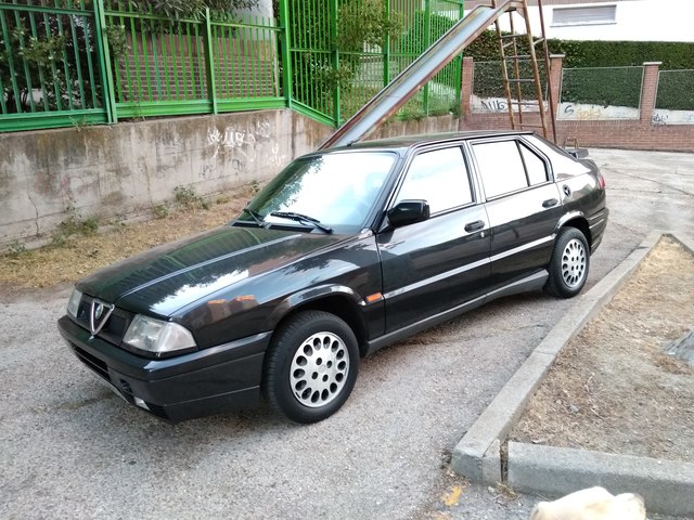 MGF MG TF Convertible Techo Hardtop Stand Con Ruedas Con Tapa Gratis