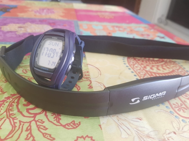 casio 3214,Quality assurance,protein-burger.com