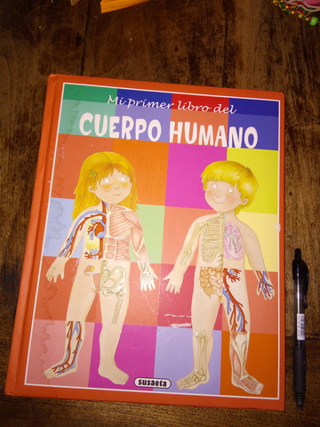 Mi Primer Libro Del Cuerpo Humano - 