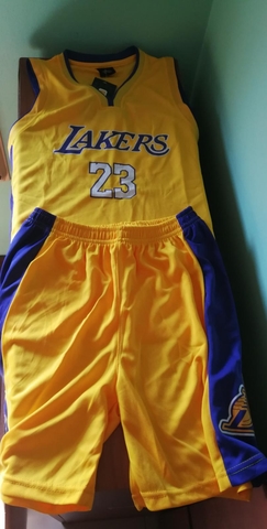 camiseta lebron james lakers niño