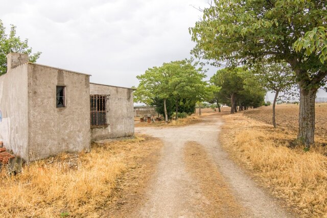 MIL ANUNCIOS.COM - Cubas de la Sagra Camino Camino Madrid ...