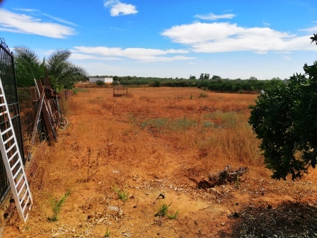 MIL ANUNCIOS.COM - Gran finca rÚstica con casa y piscina en Villanueva