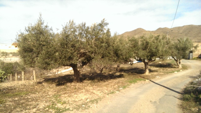 MIL ANUNCIOS.COM - Tallante, el Rincon, el Cañar El Rincon de Tallante