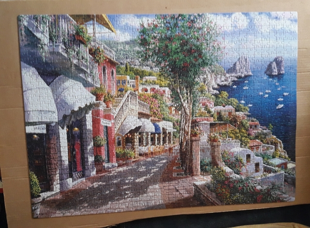 puzzle mil piezas