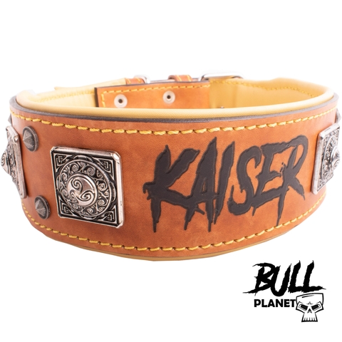 Milanuncios - Collares para American Bully.