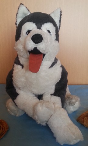 husky de peluche gigante