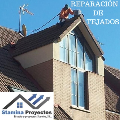 Mil Anuncios Com Necesitas Limpiar O Reparar Tu Tejado