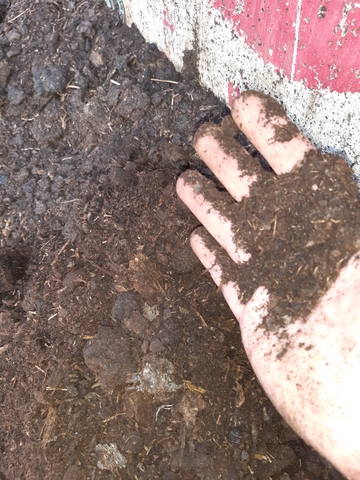 MIL ANUNCIOS.COM - Abono de vacuno compostado huerto