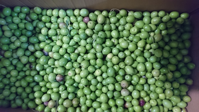 Donde Comprar Aceitunas Crudas En Madrid