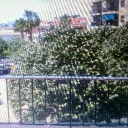 Carpas plegables milanuncios Carpas plegables milanuncios