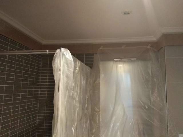 MIL ANUNCIOS.COM - Pintura en techo de baÑo o cocina