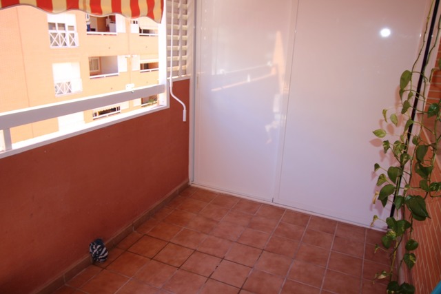 MIL ANUNCIOS.COM - Doctor Palos Alto Palancia en Sagunto/Sagunt