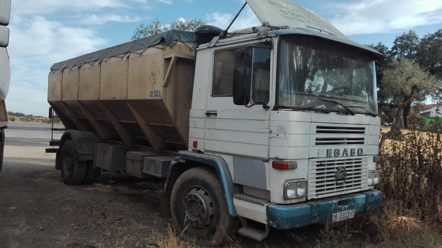 Mil Anuncios Com Pegaso Cuba Pienso