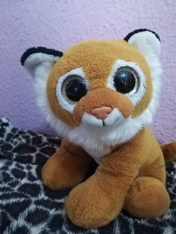 tigre ty
