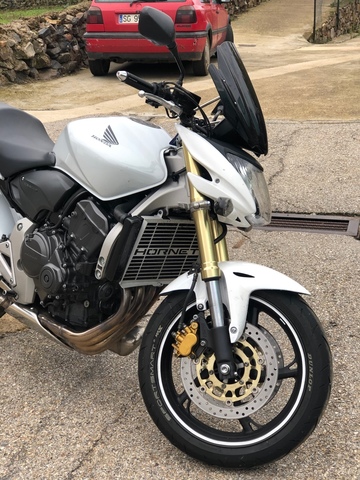 Protector de Dep/ósito Universal para Honda Hornet Oro Metalizada