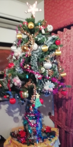 Árbol de Navidad dado corta ~ Paquete de 12 Verde