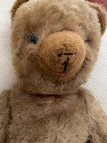 oso teddy antiguo