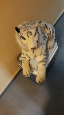 tigre de peluche grande