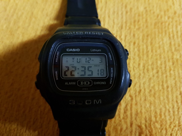 casio dw 310