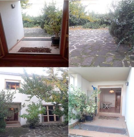 MIL ANUNCIOS.COM - La jota VELILLA DE EBRO en Zaragoza