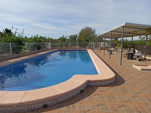 MIL La Matanza Orihuela c en Orihuela