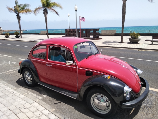 Clásico VW Beetle Carburador reconstruir Kit Empi//Solex//KADRON 40s /& 44s Carburador por