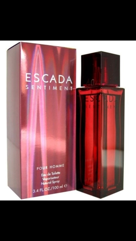 escada magnetism hombre