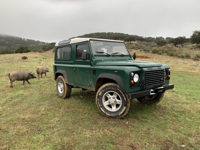Original Nueva Land Rover Trasero Insignia Defender 90 100 L 316 de Freelander 1 L 315 de gama