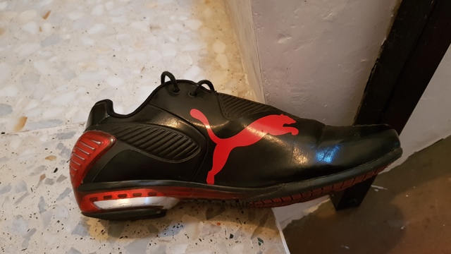 zapatillas puma ducati
