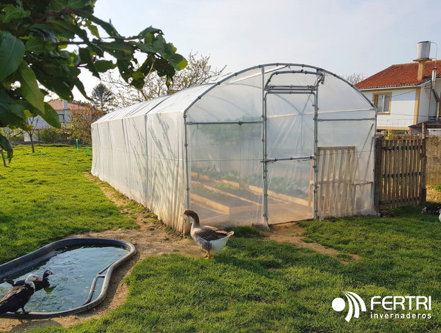 MIL ANUNCIOS.COM - Invernadero Jardín Huerta. Uso doméstico