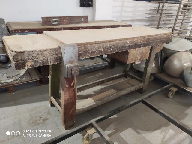 SEQUAL/® Tornillos de madera multiusos de alto rendimiento para uso profesional y dom/éstico con broca gratis